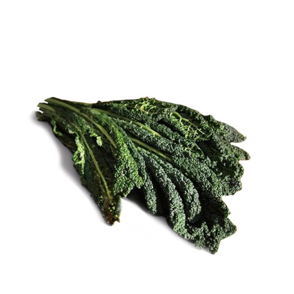 Produktfoto zu Schwarzkohl Bund