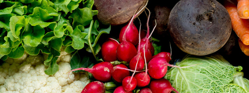 KI generiert: Frisches Gemüse: Radieschen, Rote Bete, Salat, Karotten, Blumenkohl und Kohl.