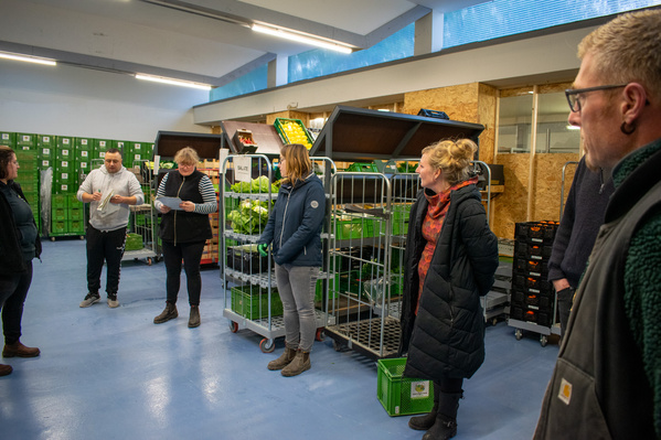 KI generiert: Ein Lagerraum mit Menschen und Transportcontainern voller Gemüse.