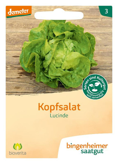 Produktfoto zu Kopfsalat 'Lucinde' - Saatgut