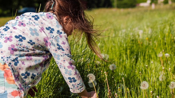 KI generiert: Ein Kind in bunter Kleidung beugt sich über eine Wiese mit Löwenzahn.