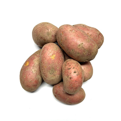 Produktfoto zu Kartoffel "Laura" 2,5 kg vorwiegend festkochend -Frühkartoffel