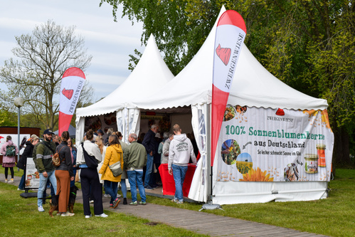 KI generiert: Ein weißes Zelt auf einem Festival mit einem Banner: "100% Sonnenblumenkerne aus Deutschland".