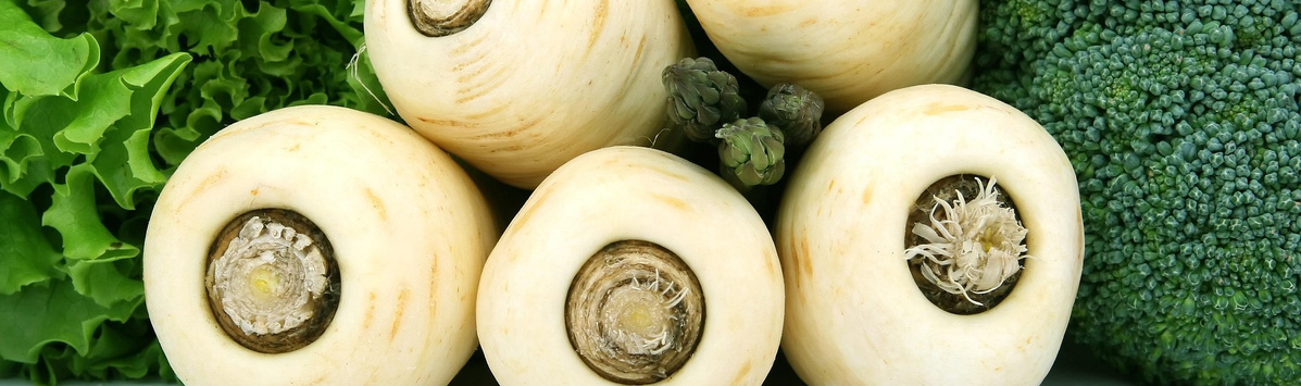 KI generiert: Pastinaken und grünes Gemüse, darunter Salat und Brokkoli, sind auf dem Bild angeordnet.