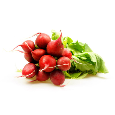 Produktfoto zu Radieschen im Bund- klein