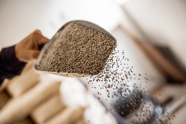 Christoph Martensen, Ölmanufaktur Sankelmark