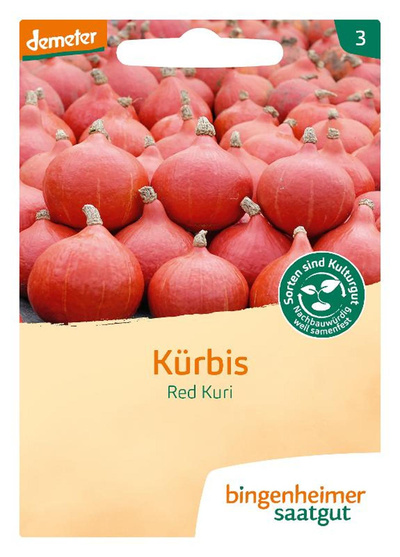 Produktfoto zu Hokkaido Kürbis 'Red Kuri' - Saatgut