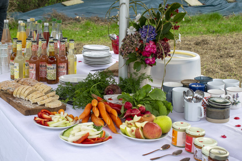 Bodenbearbeitung mit Pferden