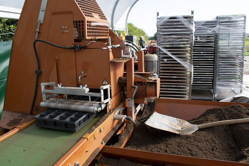 Rote Bete in der Hand