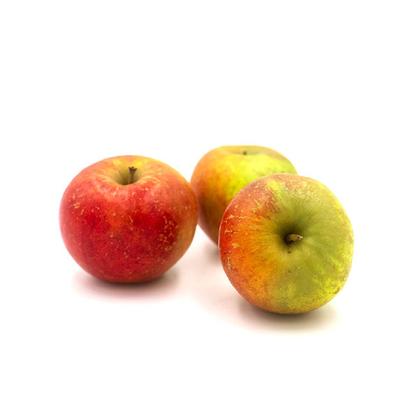 Produktfoto zu Äpfel Wega