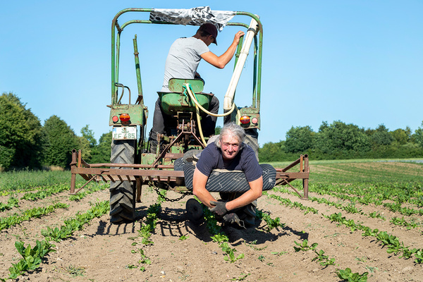 KI generiert: Zwei Personen arbeiten mit einem Traktor auf einem Feld unter klarem Himmel. Keine weiteren Textelemente.