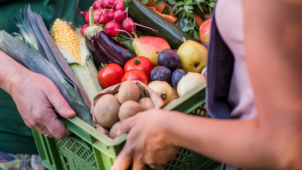 KI generiert: Eine Kiste voll mit frischem Obst und Gemüse wird von zwei Personen gehalten.