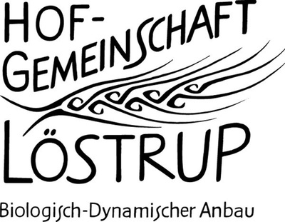 Produktfoto zu Weizenvollkornmehl 1 kg