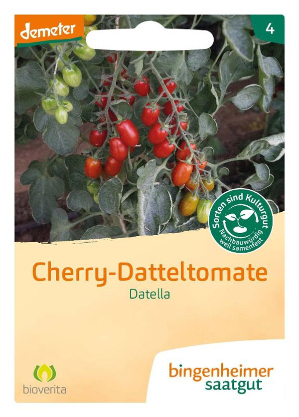 Produktfoto zu Cherry-Datteltomate 'Datella' - Saatgut