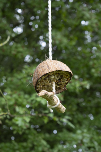 Vogelfutterstelle aus Kokosnuss