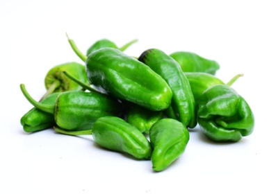Produktfoto zu kleine Bratpaprika "Pimientos de Padrón"