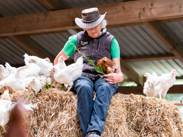 KI generiert: Eine Person mit Hut sitzt auf Strohballen, umgeben von Hühnern.