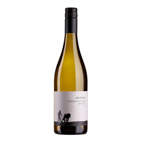 Produktfoto zu Weißburgunder Quarzit trocken 2024