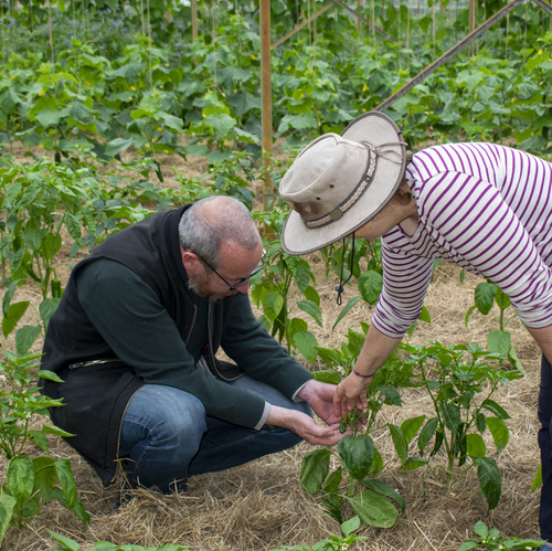 Jens und Ilona bei Paprika