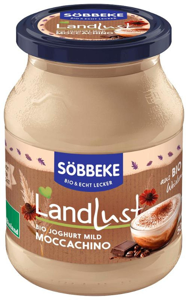 Produktfoto zu Moccachino Joghurt 500g