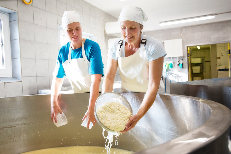 KI generiert: Zwei Frauen in einem Verarbeitungsraum, die Käse herstellen.