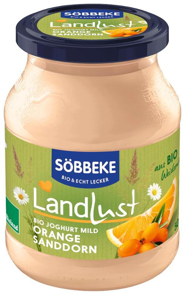 Produktfoto zu Sanddorn-Orange Joghurt 500g