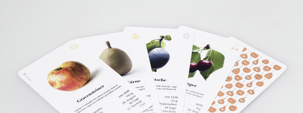 Alte Obstsorten Quartett