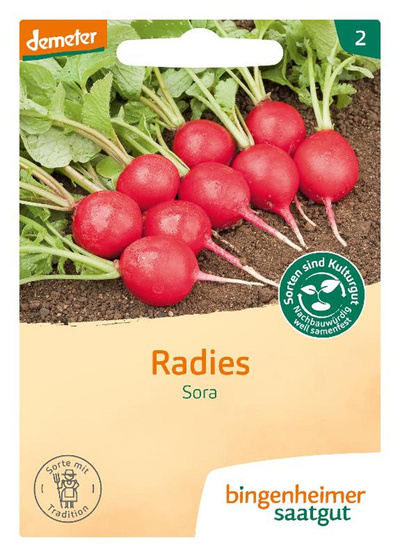 Produktfoto zu Radies 'Sora' - Saatgut