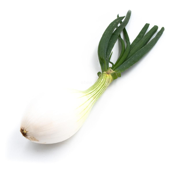 Produktfoto zu Gemüsezwiebel mit Grün