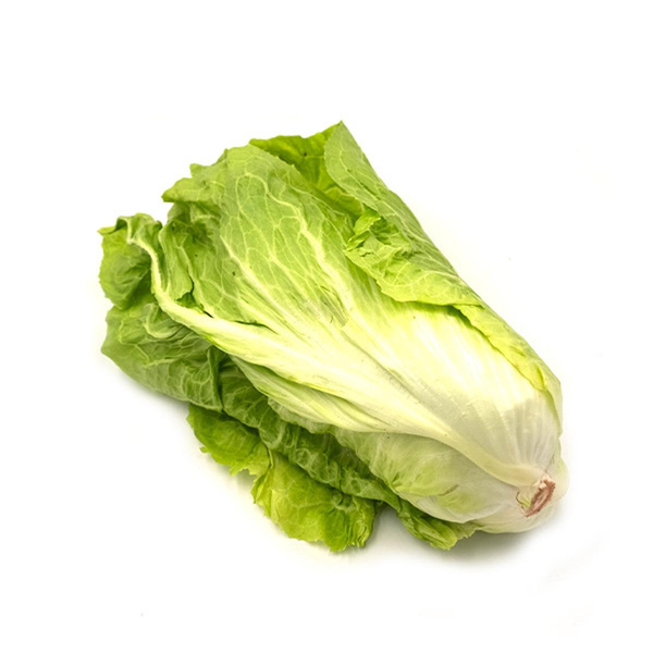 Produktfoto zu Zuckerhut Salat