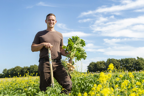 KI generiert: Ein Mann steht lächelnd auf einem Feld und hält Pflanzen in der Hand.