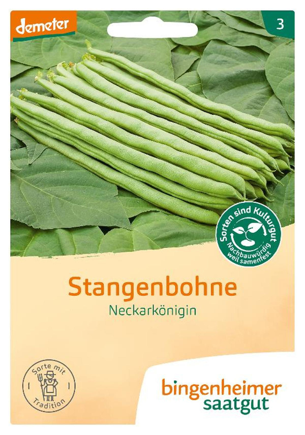 Produktfoto zu Stangenbohne 'Neckarkönigin - Saatgut