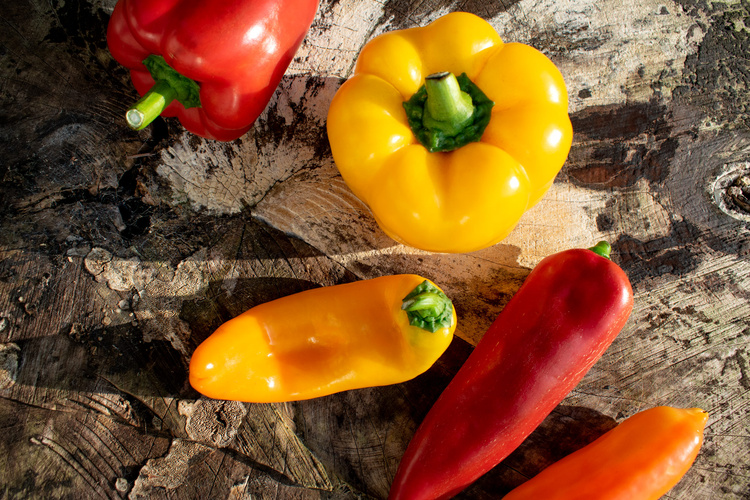 Bunte Paprika auf Holz