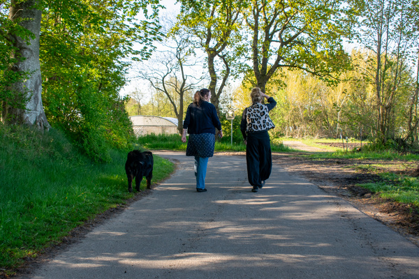 KI generiert: Zwei Personen und ein Hund spazieren auf einem Waldweg bei sonnigem Wetter.