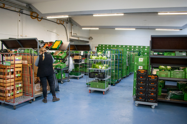 KI generiert: Eine Person sortiert Gemüse in einer Lagerhalle mit grünen Kisten und Rollwagen.