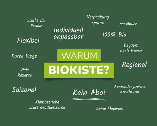 KI generiert: Grünes Bild mit Texten: "WARUM BIOKISTE?", "100% Bio", "Regional", "Kein Abo!", "Saisonal".