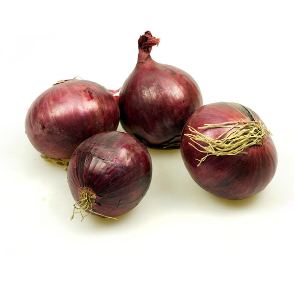 Produktfoto zu rote Zwiebeln - neue Ernte