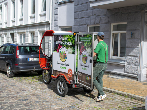 Porreepflanzen