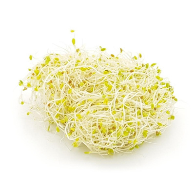 Produktfoto zu Alfalfasprossen 100 g