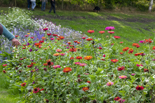 Rote Bete in der Hand
