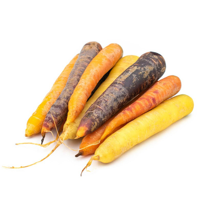 Produktfoto zu Bunte Möhren -neue Ernte