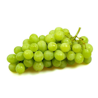 Produktfoto zu Trauben weiß "Muscat"