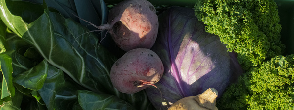 Rezeptbuch mit Zutaten