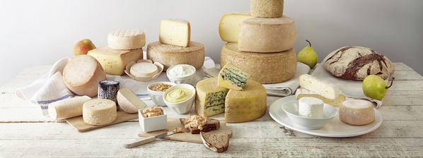 Käse