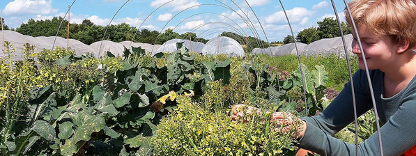 Frau auf einem Gemüsefeld