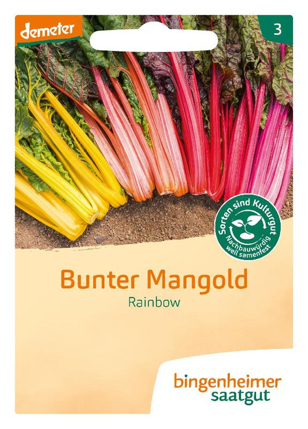 Produktfoto zu Mangold 'Rainbow' - Saatgut