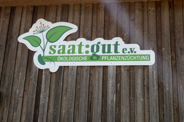 KI generiert: Ein Schild mit "saat:gut e.v. ÖKOLOGISCHE PFLANZENZÜCHTUNG" an einer Holzwand.