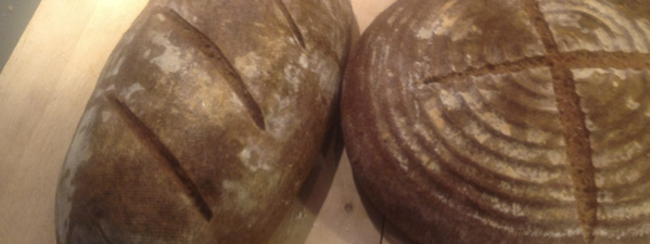Frisch gebackene Brote aus wilder Hefe