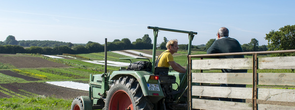 Trecker auf Feld