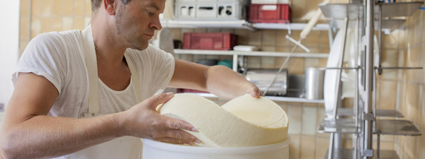 Hof Dannwisch Käserei